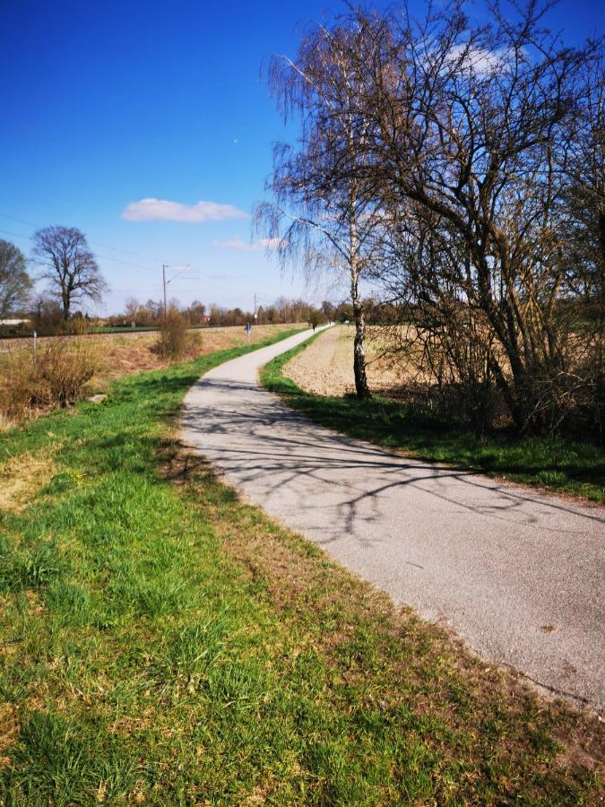 Ferienwohnung Hertreiter In Dingolfing 110Qm Экстерьер фото