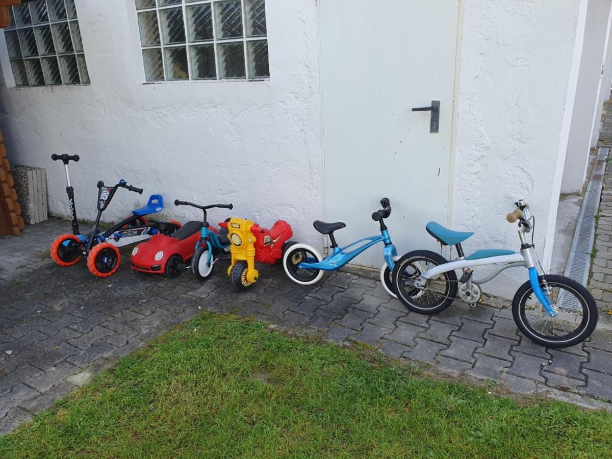Ferienwohnung Hertreiter In Dingolfing 110Qm Экстерьер фото